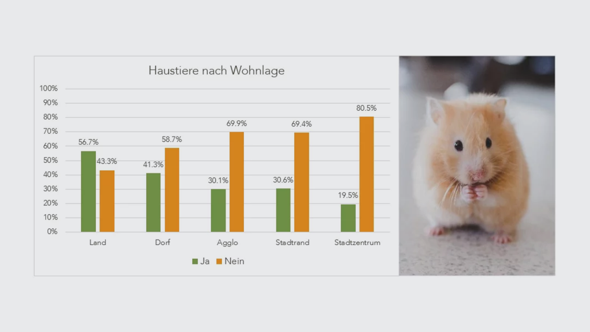 haustiere-wohnlage